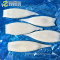 frozen squid tubes u5 u10 u15